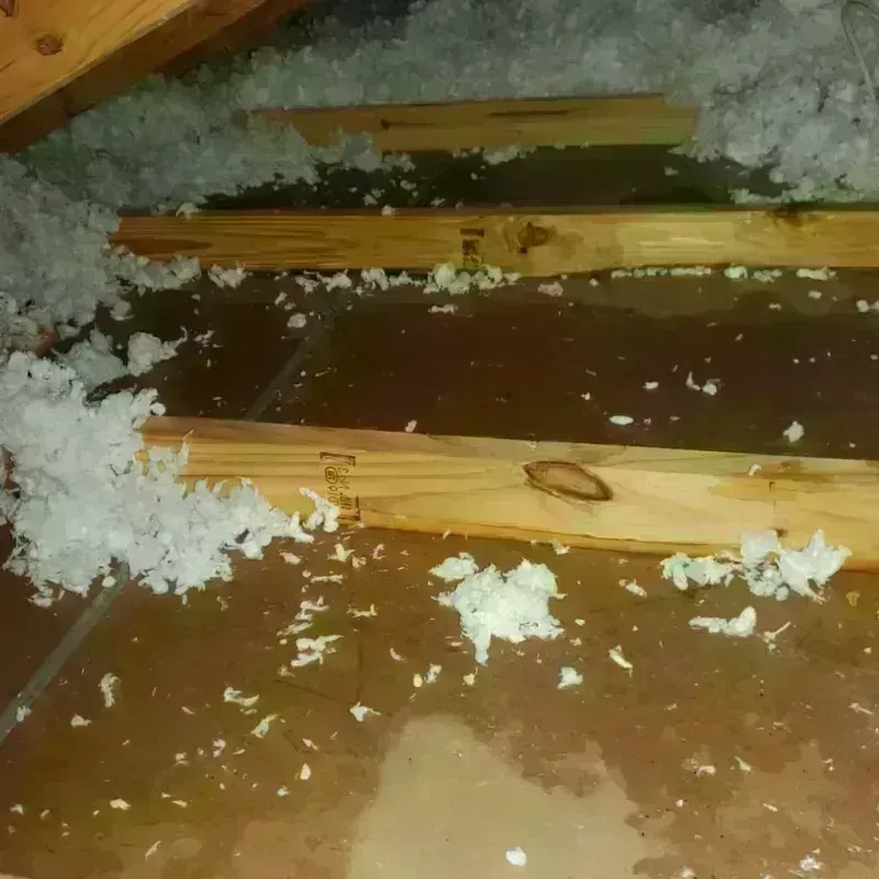 Attic Water Damage in Whitehall, MI