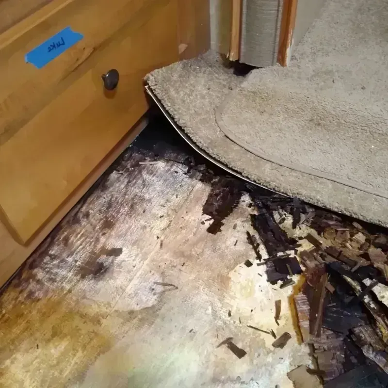 Wood Floor Water Damage in Whitehall, MI